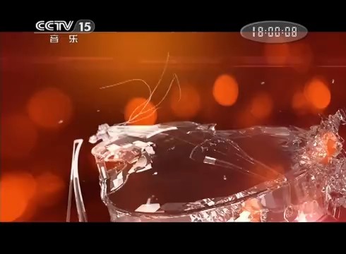  - 【央视直播】2015年维也纳新年音乐会