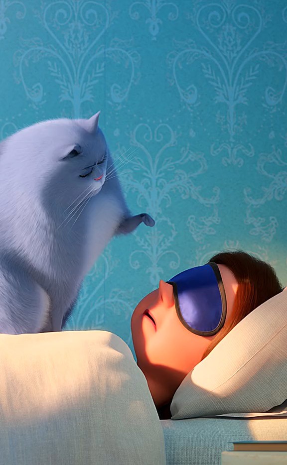 小时候的欢乐时光爱宠大机密2