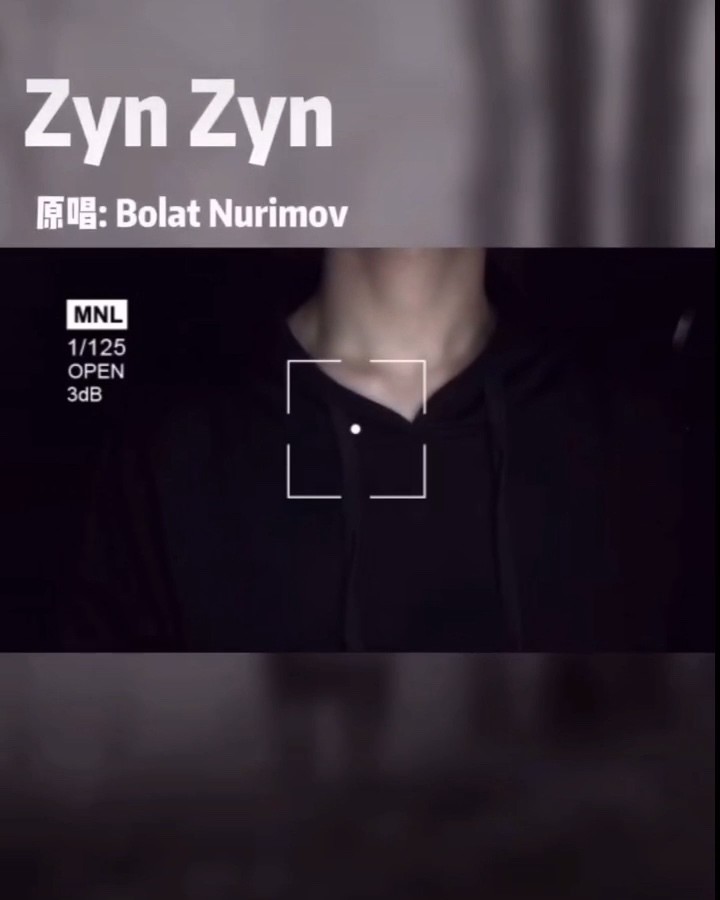  - 《zyn zyn》男声翻唱