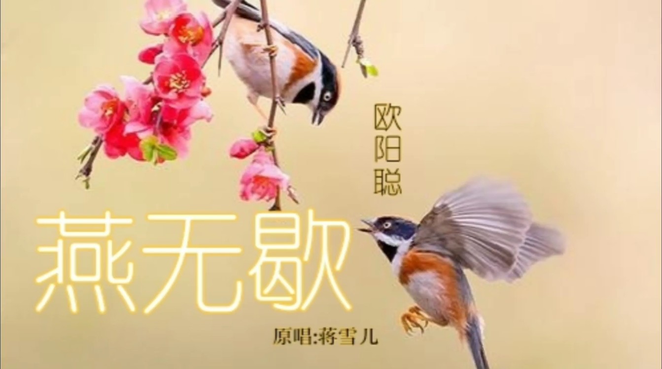 梁琪清燕无歇歌词版mv