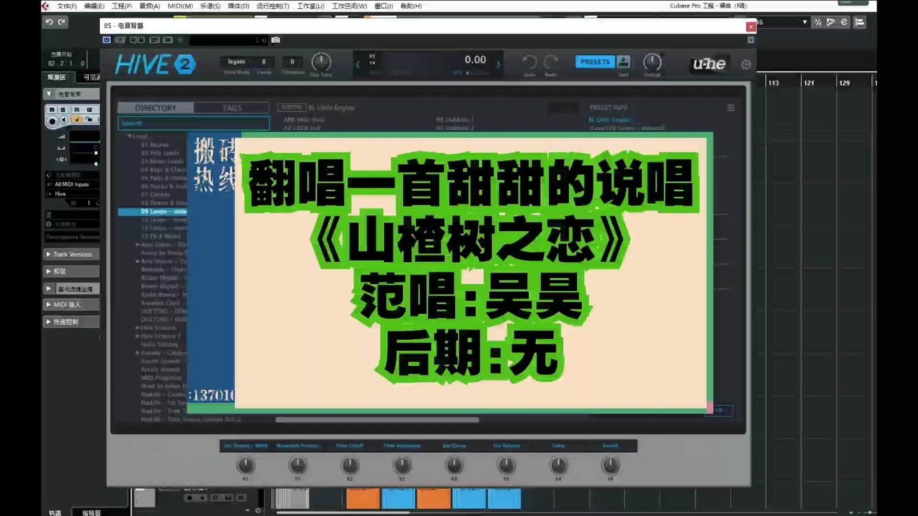  - 工作室翻唱作品《山楂树之恋》