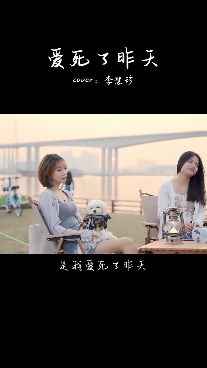  - 说一个你不想谈恋爱的理由  爱死了昨天