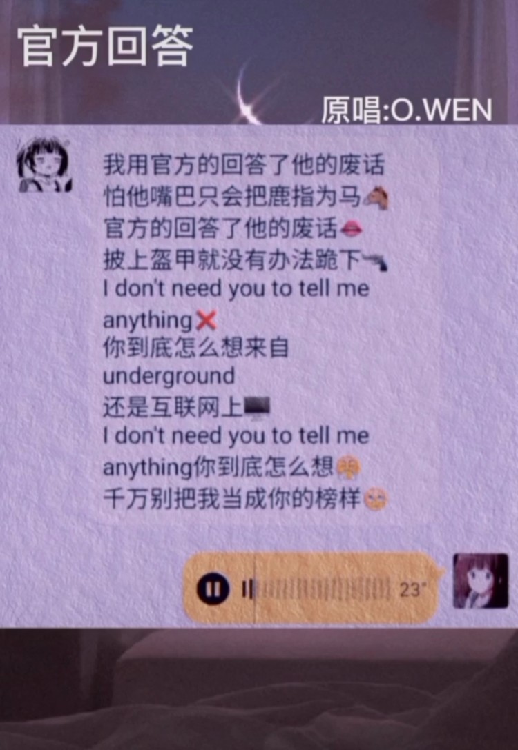 我用官方的回答了他的废话