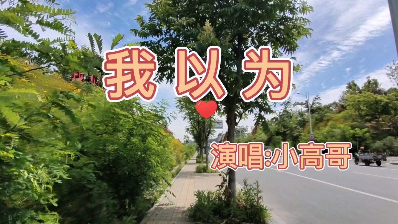 我以为对你一往情深你会陪我
