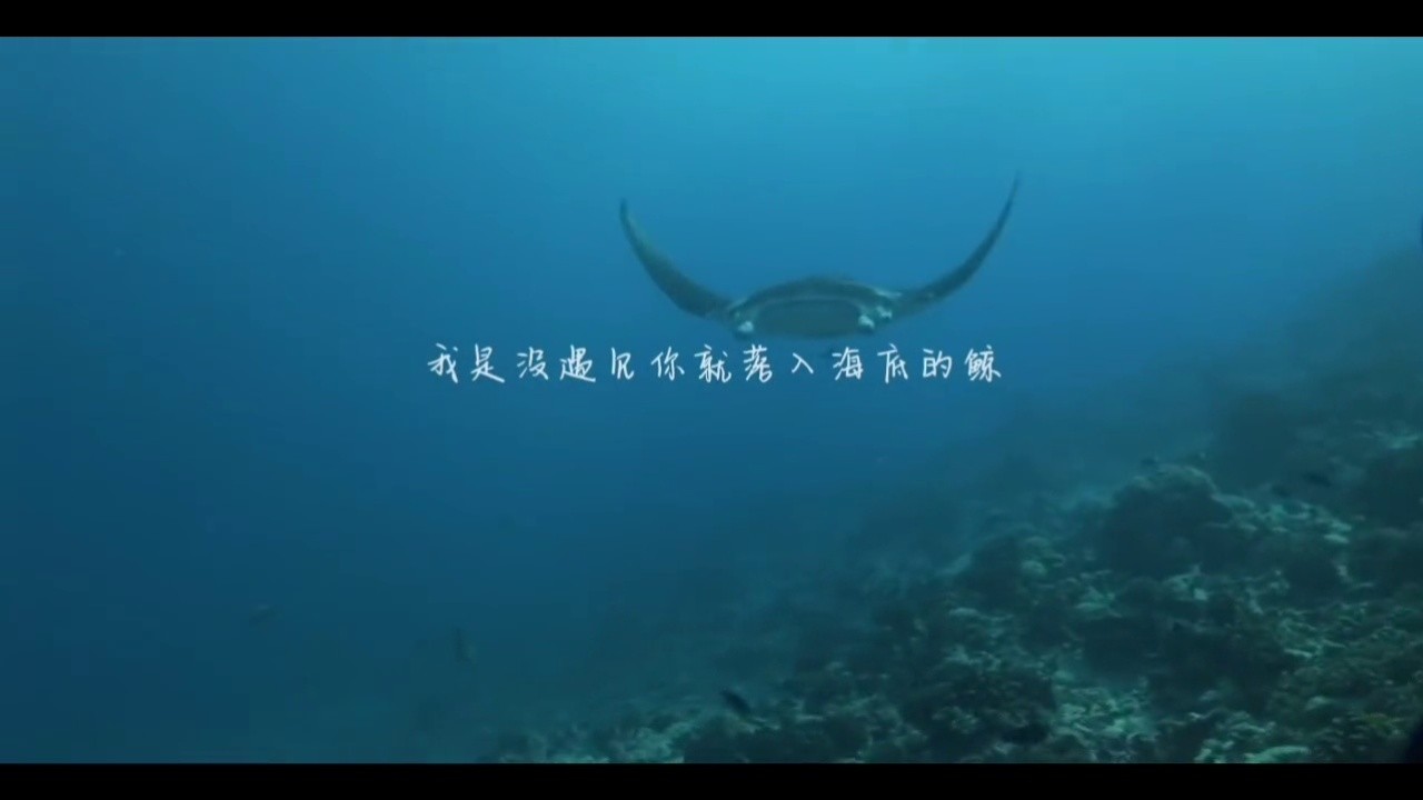 任然单曲  我是没遇见你就『落海』的鲸