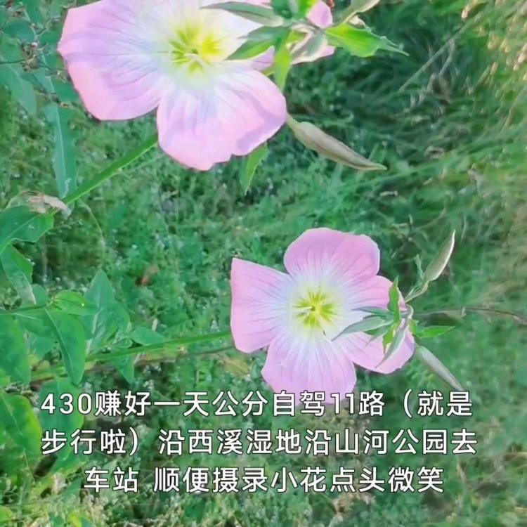  - 《一切都是最好的安排》