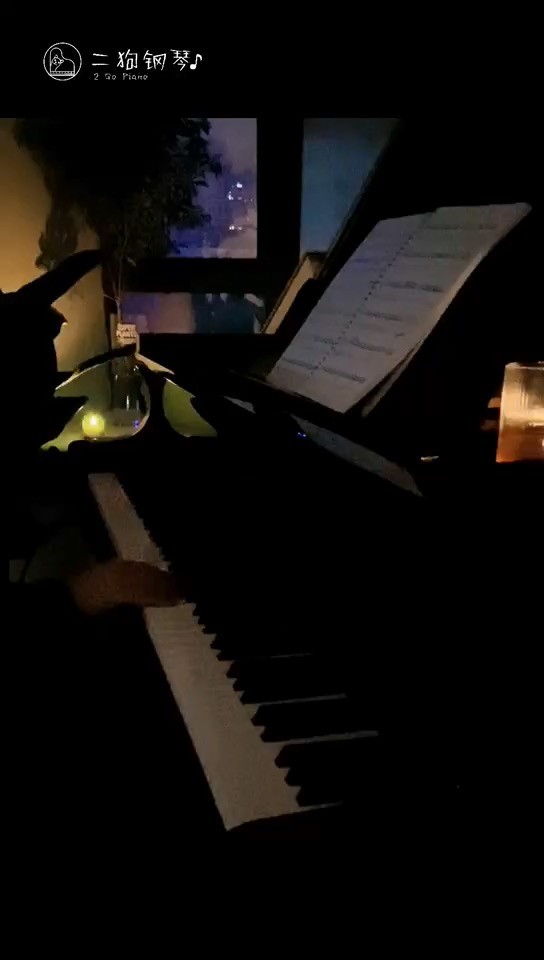  - Orion（二狗钢琴版）
