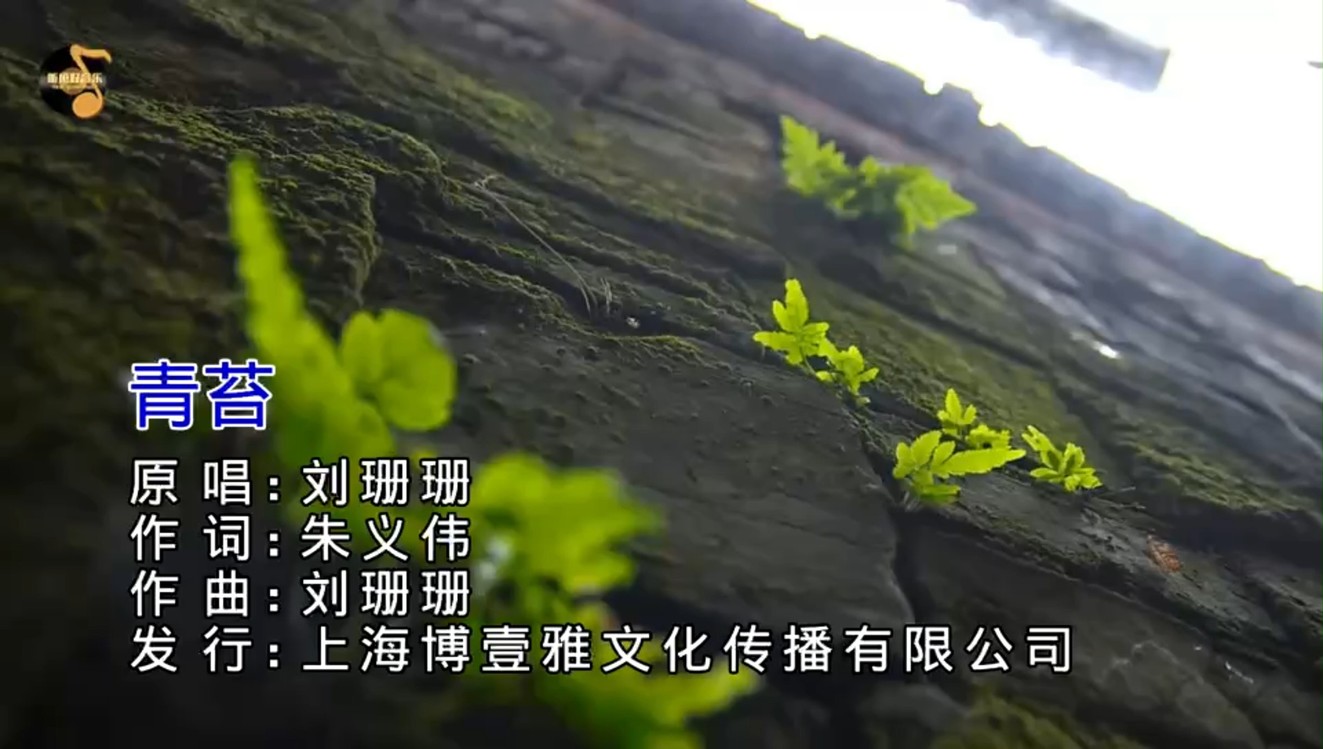  - 《青苔》演唱：刘珊珊，作词：朱义伟