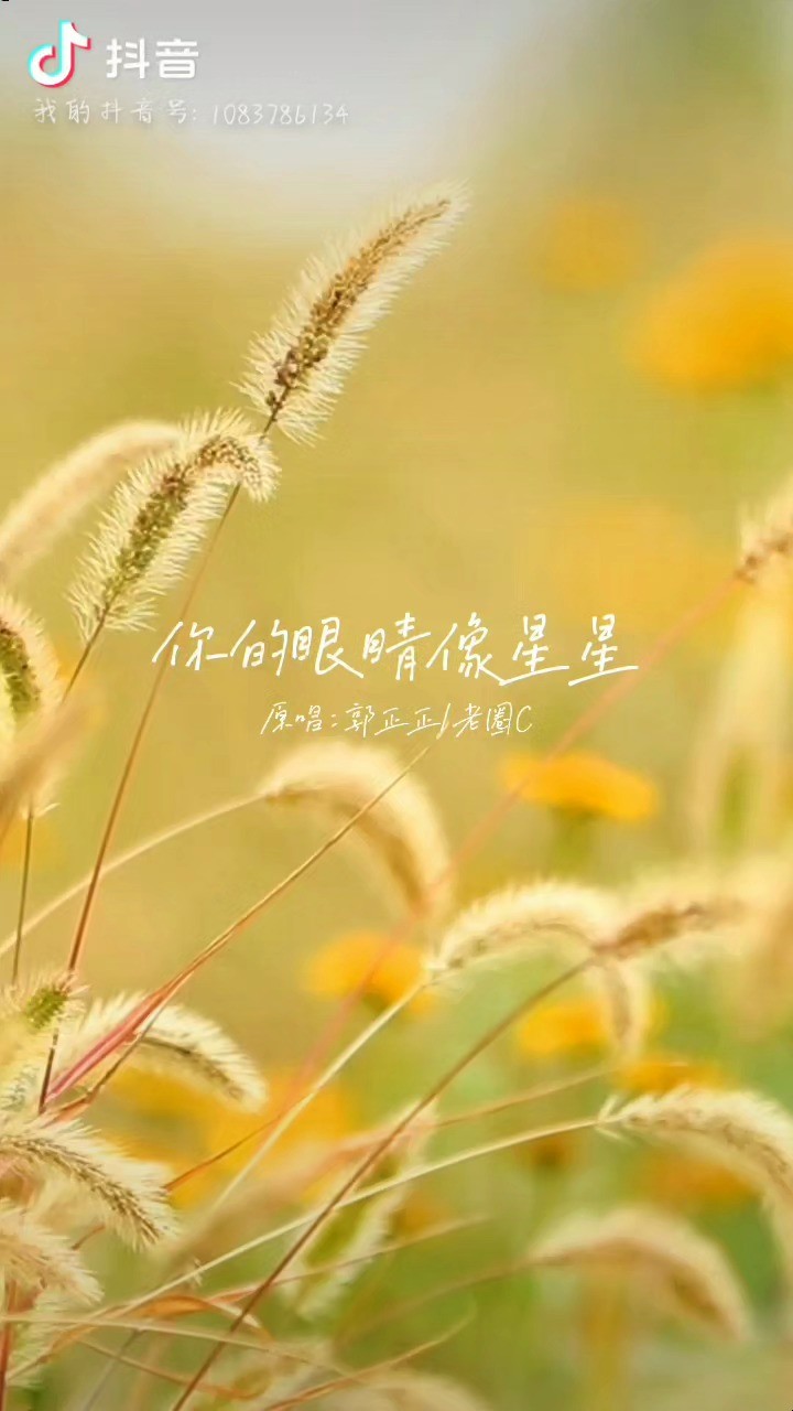  - 你的眼睛像星星✨