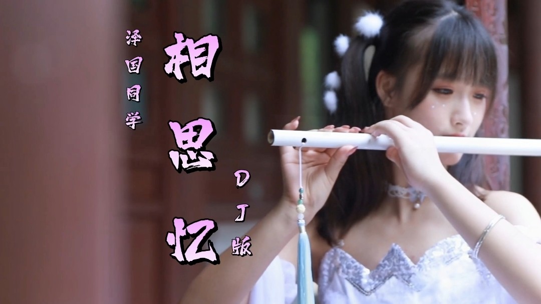 泽国同学-相思忆 (dj版)一曲琴音醉我心,半生风雪沾青衣