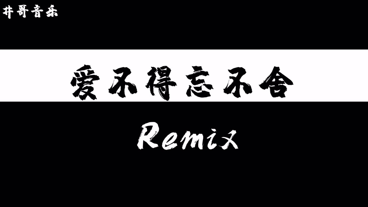 爱不得忘不舍-remix