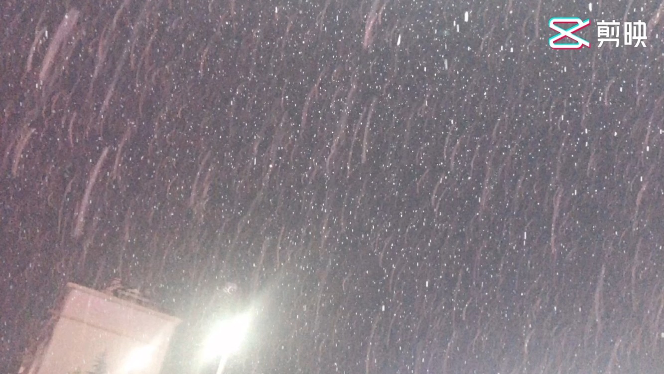 - 2020第一场雪❄️