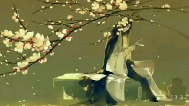  - 万念藏于心，不问风月情。