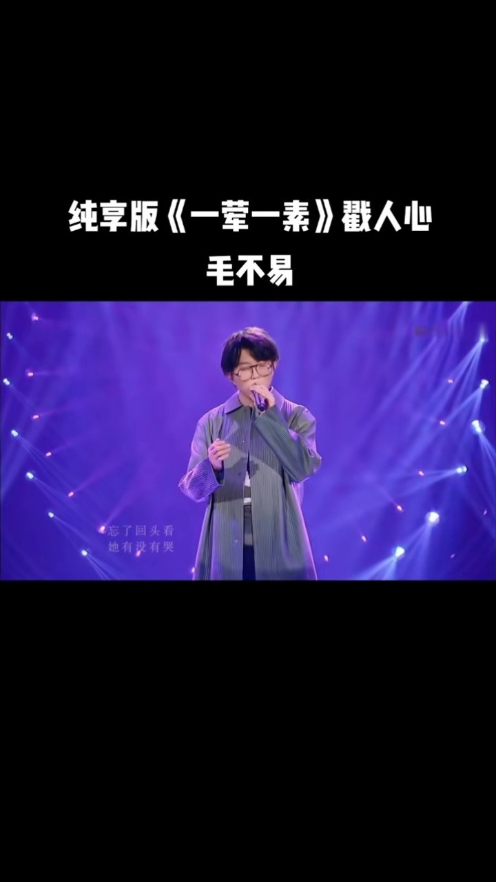 纯享版《一荤一素》毛不易#毛不易 #一荤一素 #音乐现场