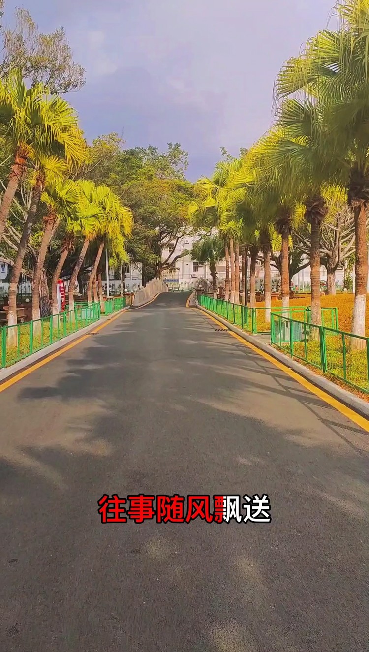  - 晚上好，这景色很美哦