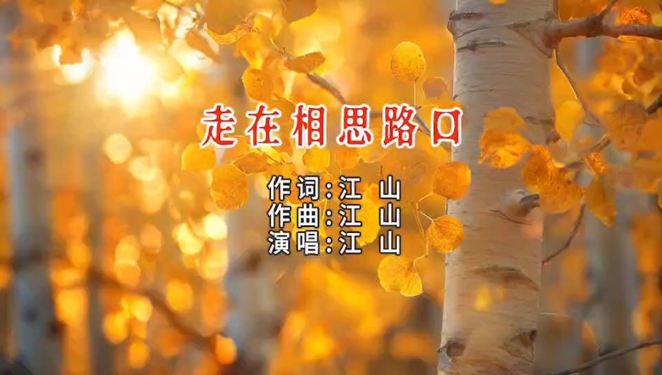 - 走在相思路口（live）版MV