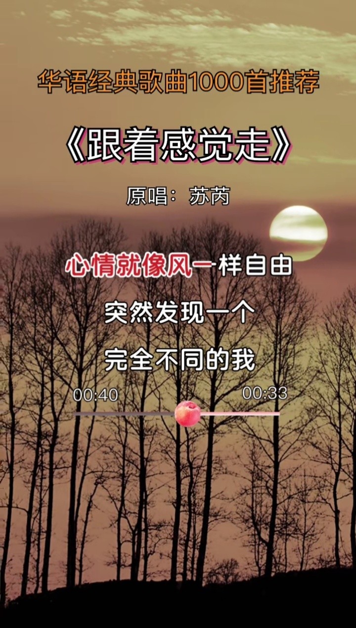 跟着感觉走 #苏芮 #音乐推荐 #经典歌曲 #百听不厌