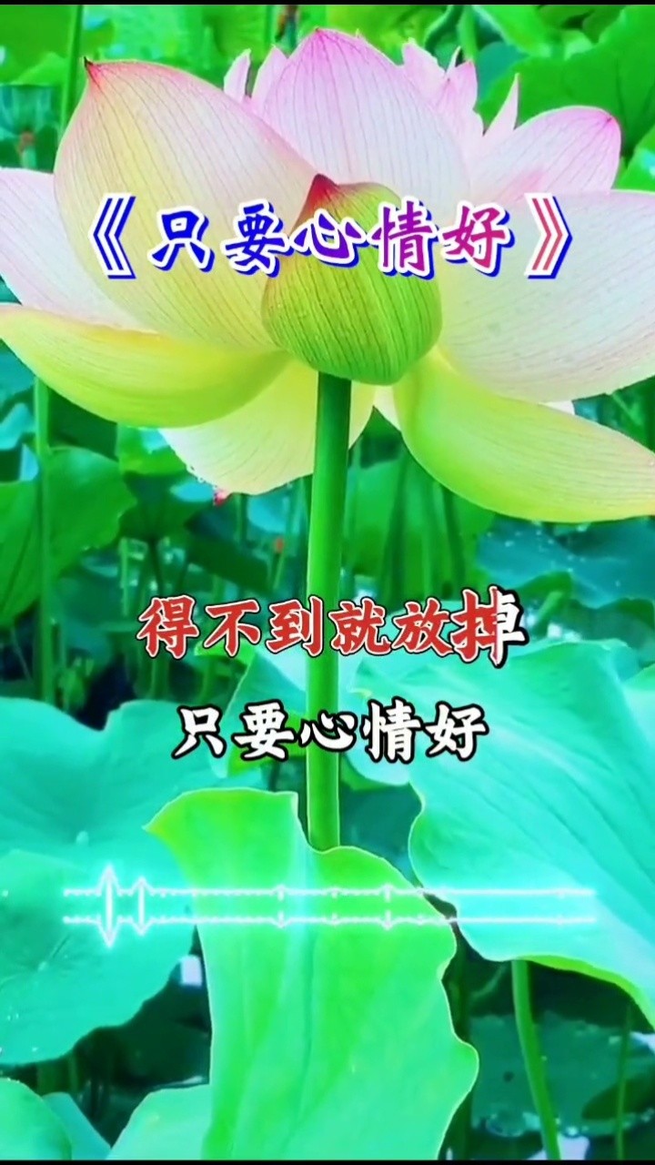 早安只要心情好一切都会好没什么大不了愿大家每天好心情