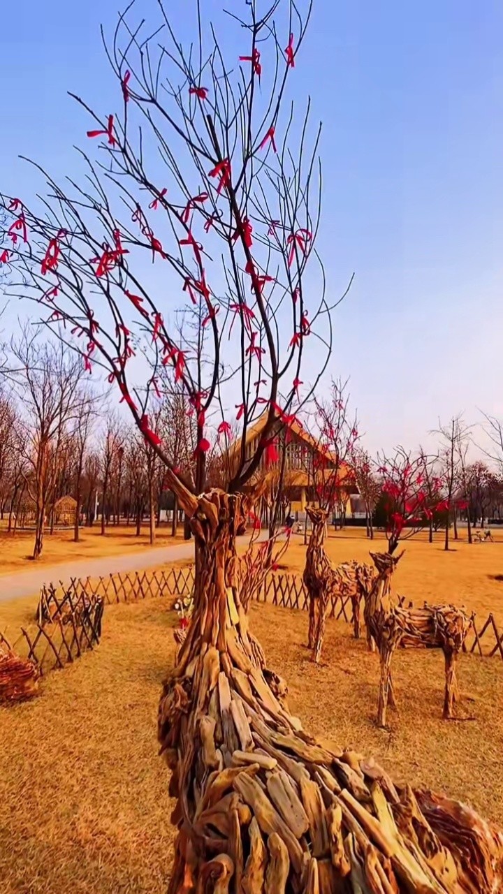 保定植物園的地景展覽很受保定市民喜歡.