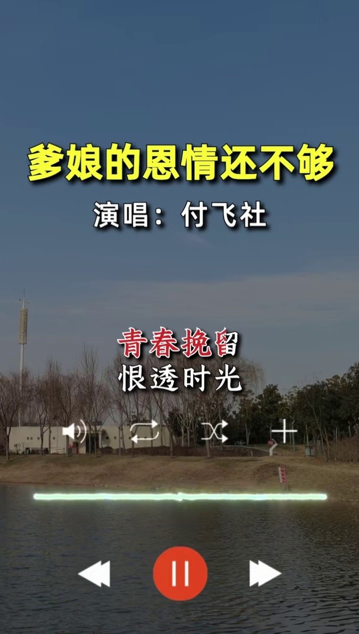 爹娘的恩情还不够 #付飞社 #深情演唱 #经典歌曲