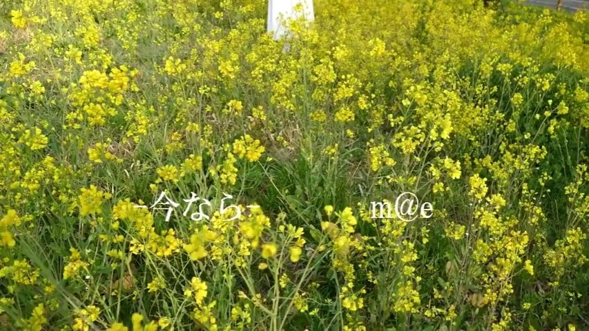  - m@ e「今なら」Music Video
