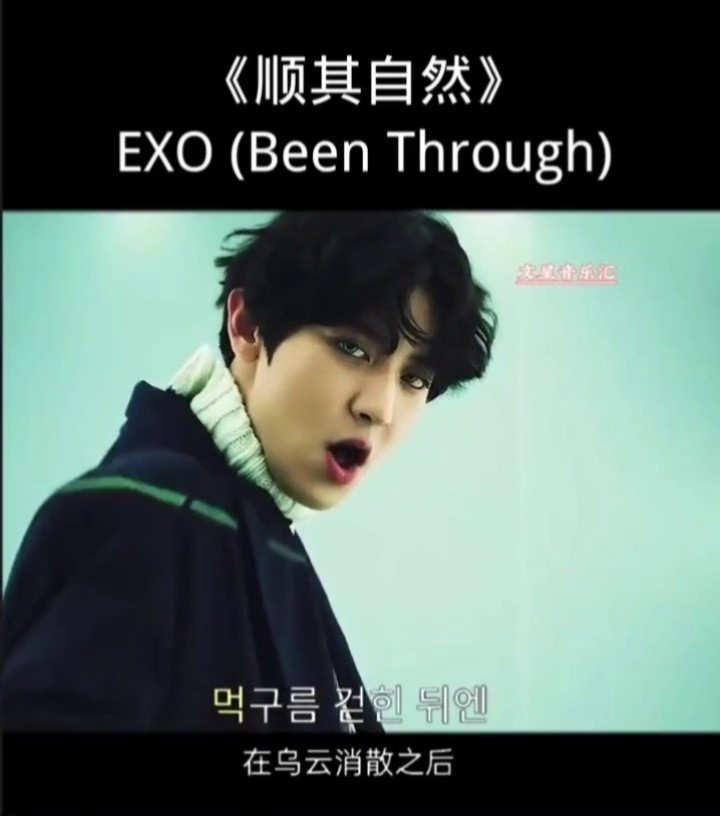 exo《顺其自然》 【提到318173 5391 (been through)】