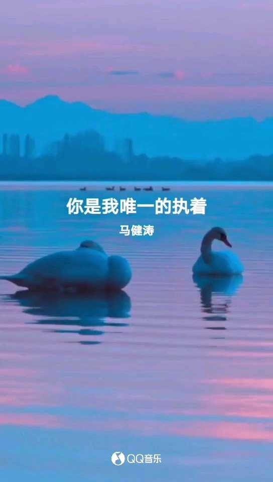 你是我唯一的执着国语