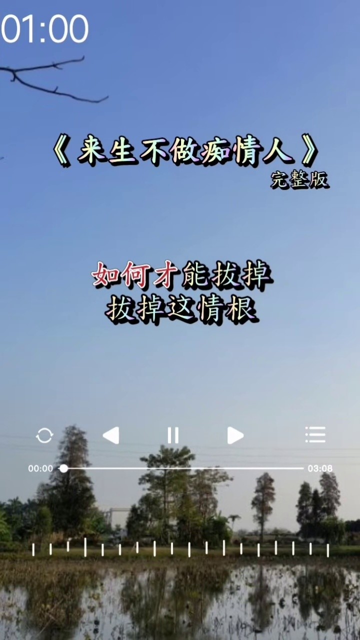 来生不做痴情人,不再为爱一往情深#来生不做痴情人 #完整版 #伤感音乐