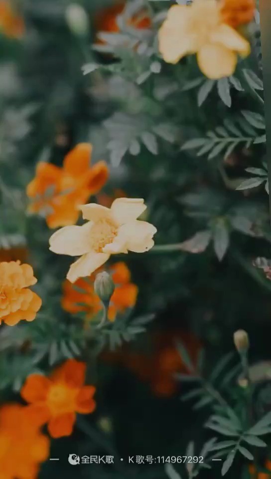  - 每分每秒都在等待