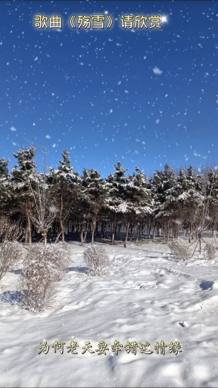 殤雪聽心情火黃梅戲昨夜星辰濤聲依舊