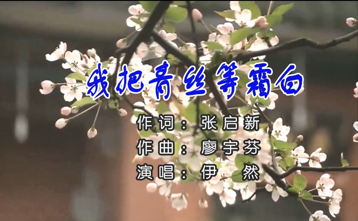  - 伊然《我把青丝等霜白》原版KTV