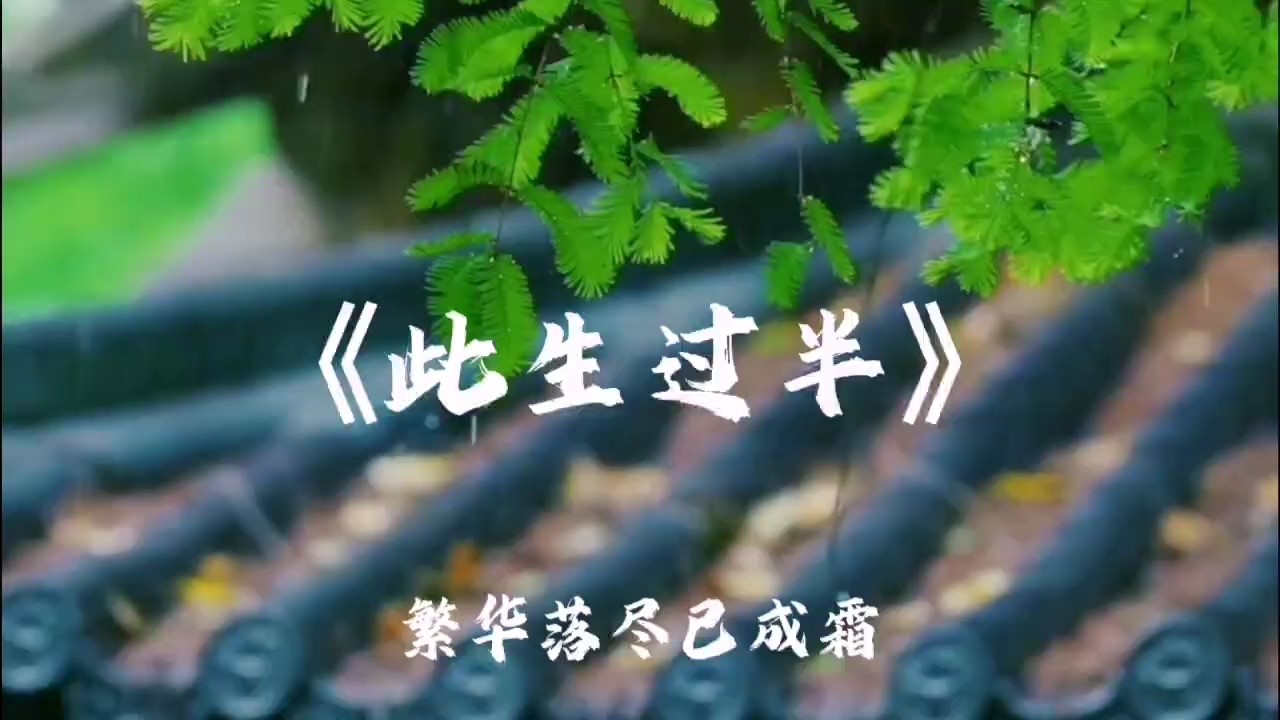 《此生過半》-lrc李如初 原唱:豆包