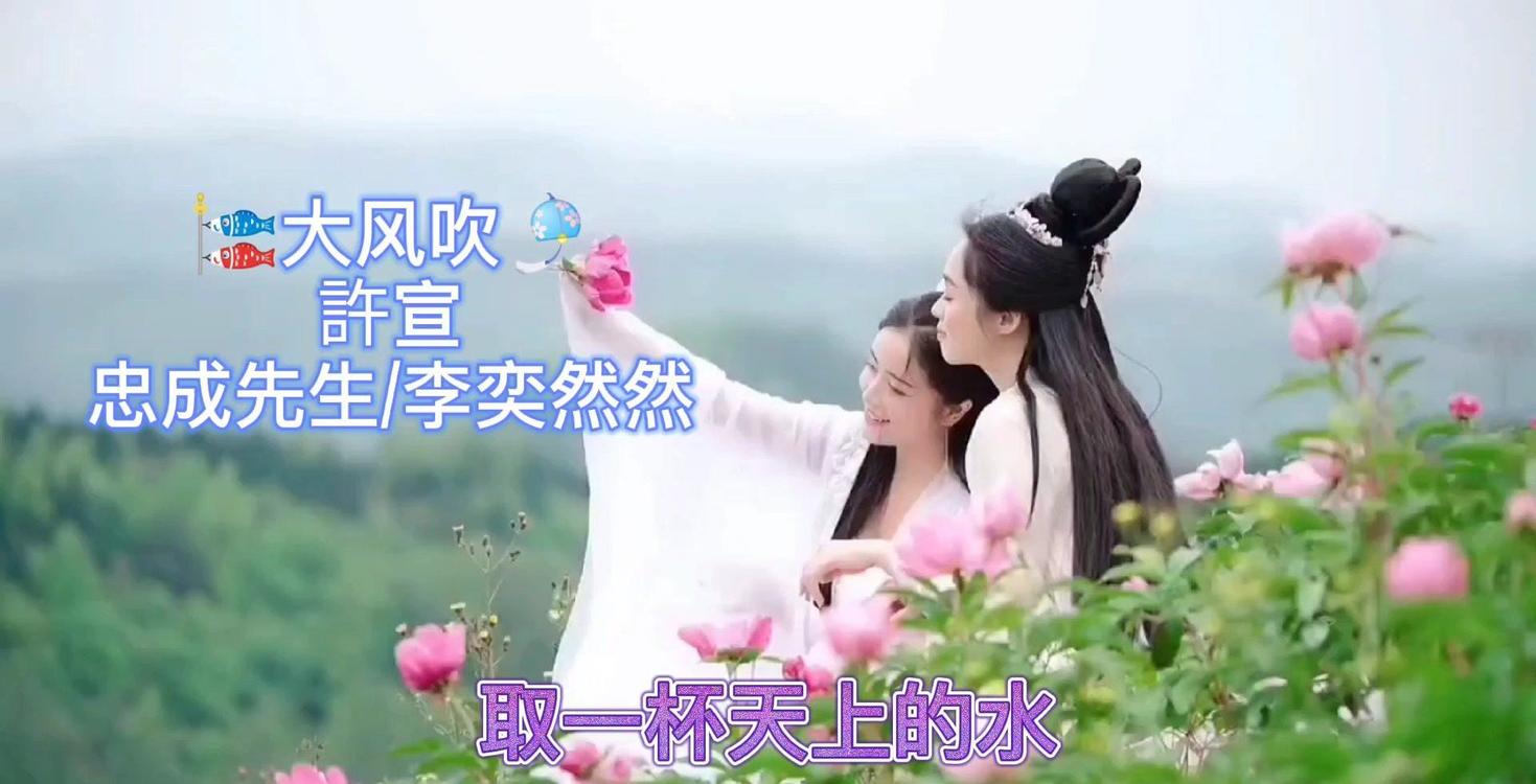  - 大风吹一直吹吹走我心里那段痛那段悲