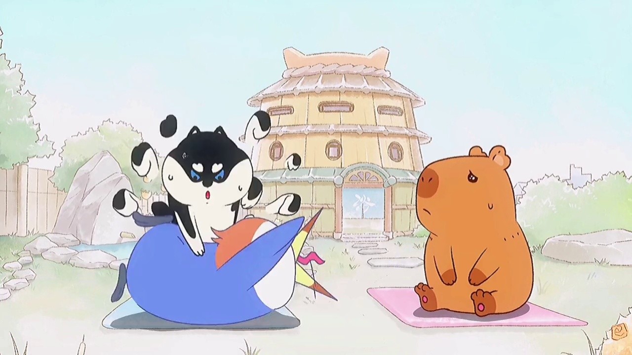 水豚汤馆 #动漫推荐 当你身体太硬的时候可以这样锻炼