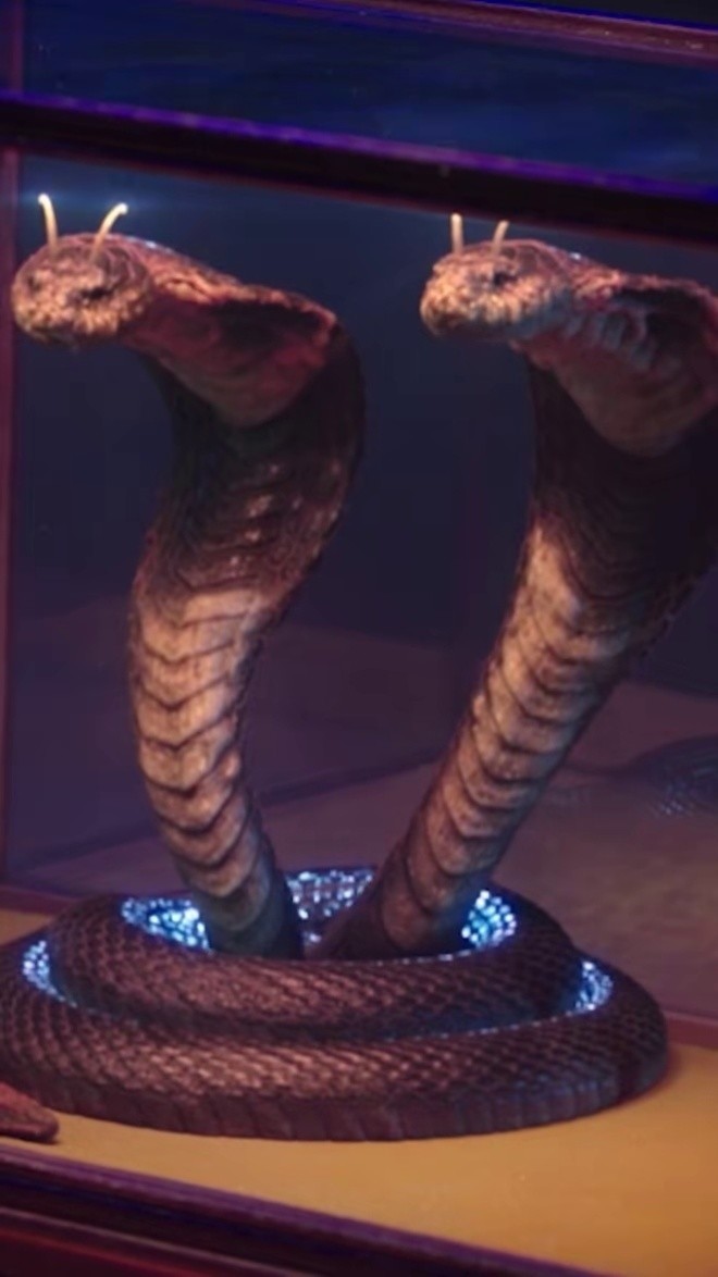 能预知当下和未来的蛇你见过没电影猎杀外星人猎杀外星人上线