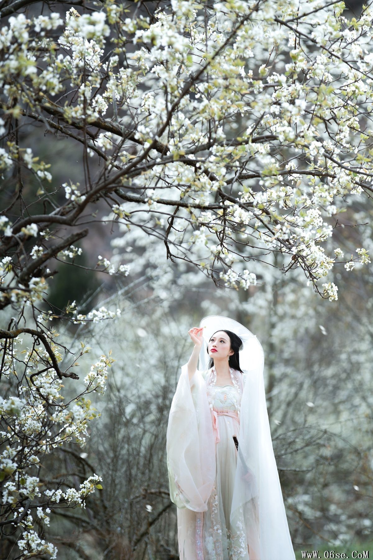 图片[6]-YiTuYu艺图语 Vol.4753 Wei Wei[39P]-六色网