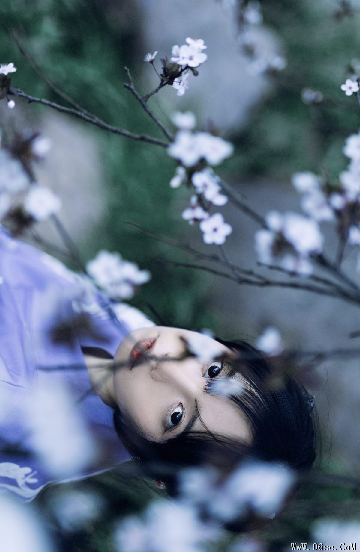 图片[19]-YiTuYu艺图语 Vol.3471 Lin Mu Ting Zi[24P]-六色网