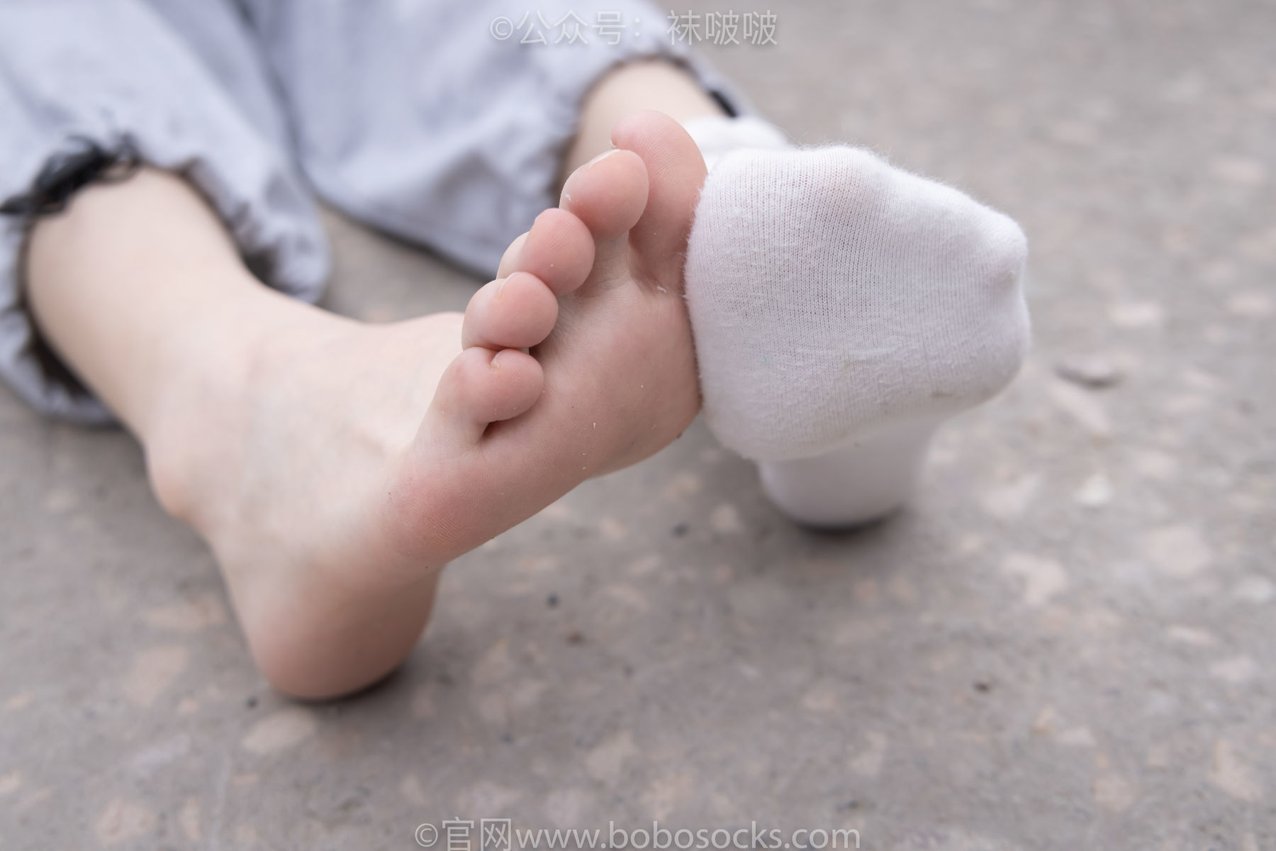 图片[117]-BoBoSocks袜啵啵 No.016 熊熊-斯凯奇运动鞋、棉袜、裸足[147P]-六色网