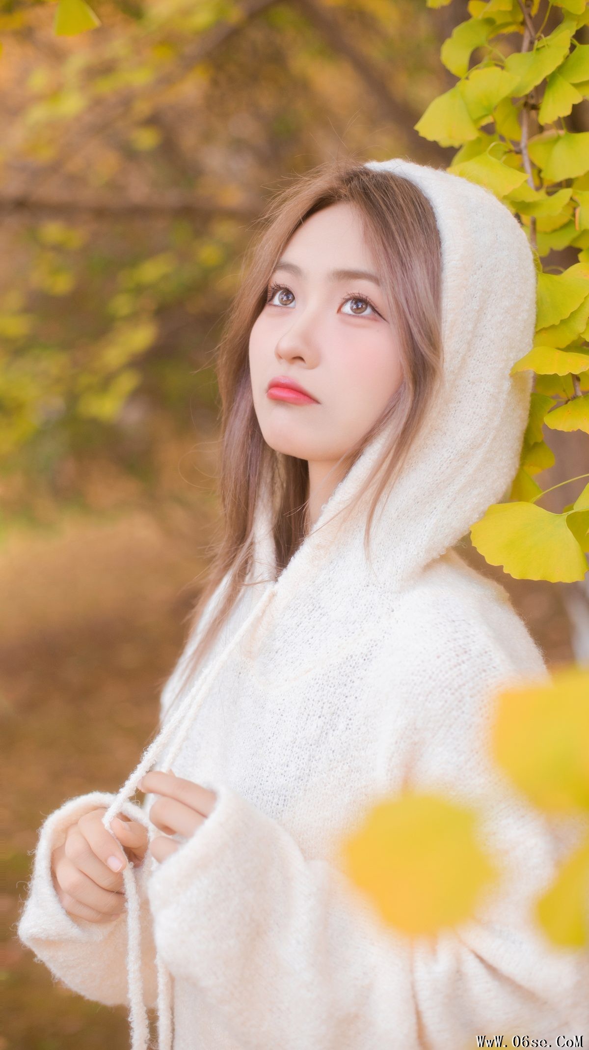 图片[22]-YiTuYu艺图语 Vol.5840 Gao Li Dai[34P]-六色网