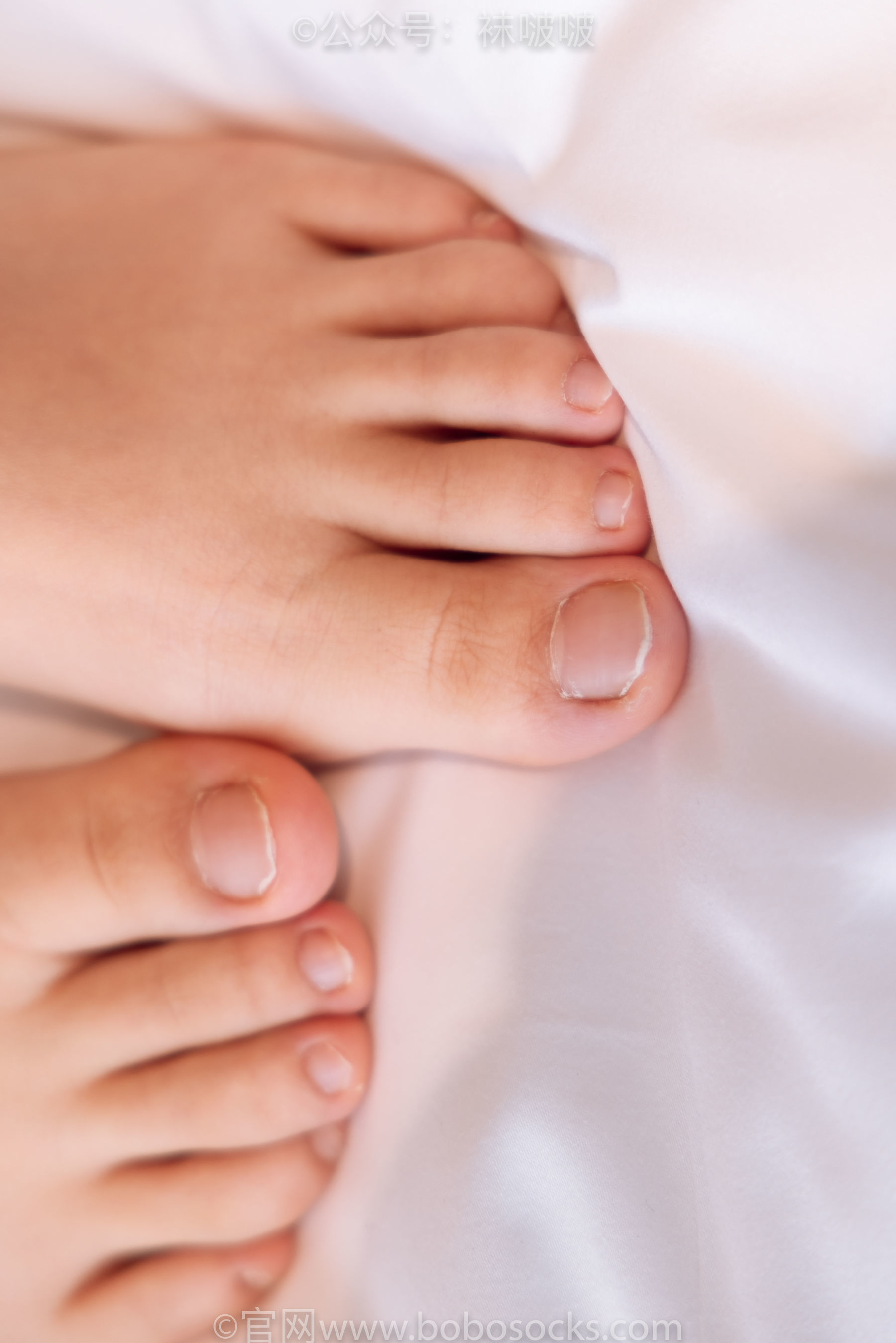 图片[140]-BoBoSocks袜啵啵 No.059 砂糖-AJ板鞋、白棉袜、裸足[142P]-六色网