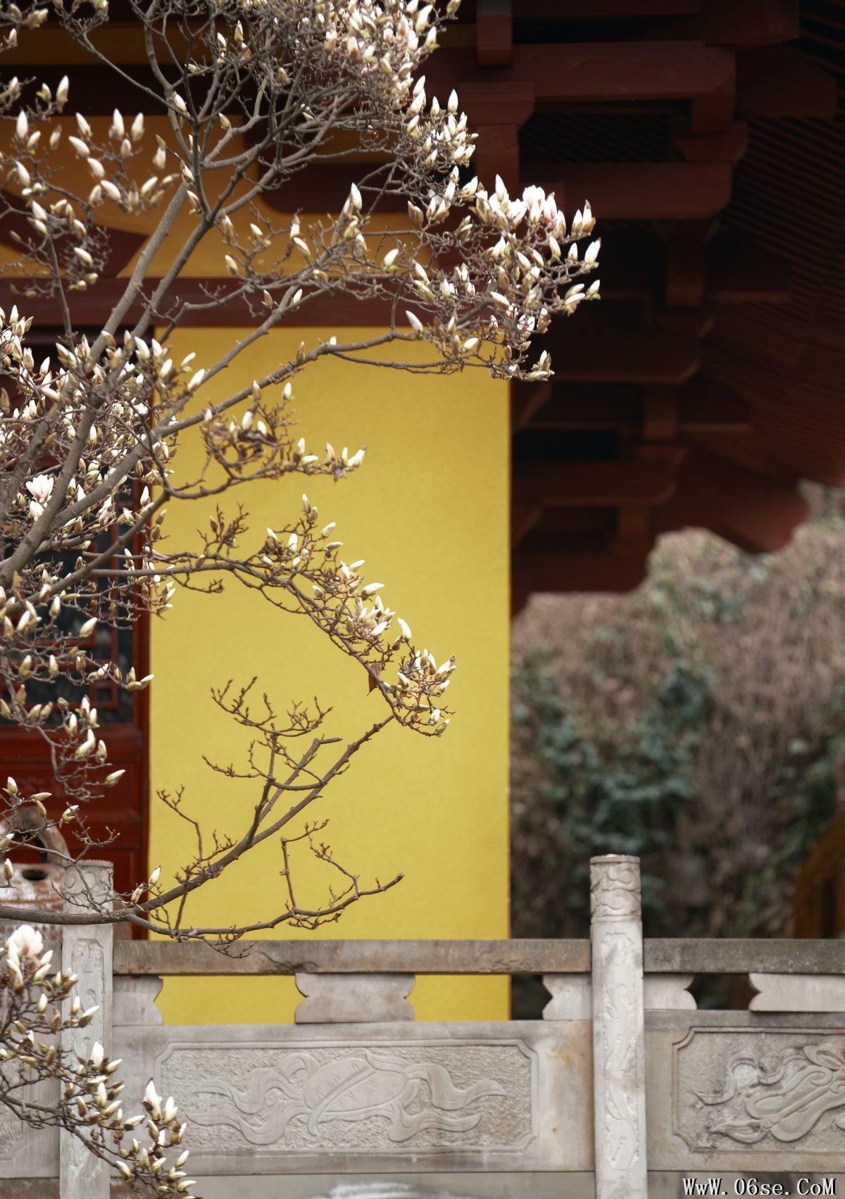 图片[35]-YiTuYu艺图语 Vol.3872 Ming Yue[47P]-六色网