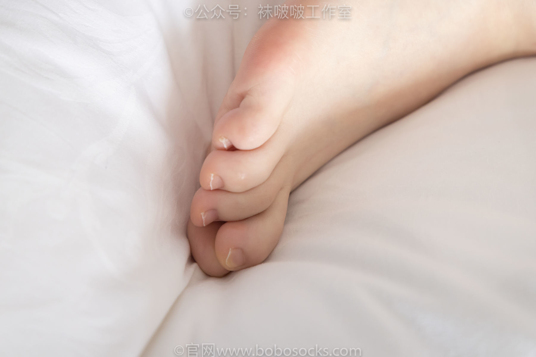 图片[109]-BoBoSocks袜啵啵 积分限定作品007 熊熊-运动鞋、白棉袜、裸足[134P]-六色网