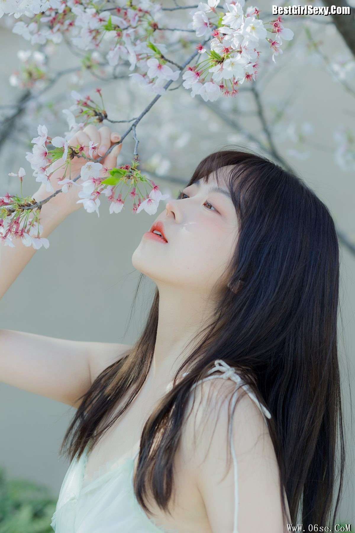 图片[16]-YiTuYu艺图语 Vol.4075 Ha Ji Ma Hua[34P]-六色网