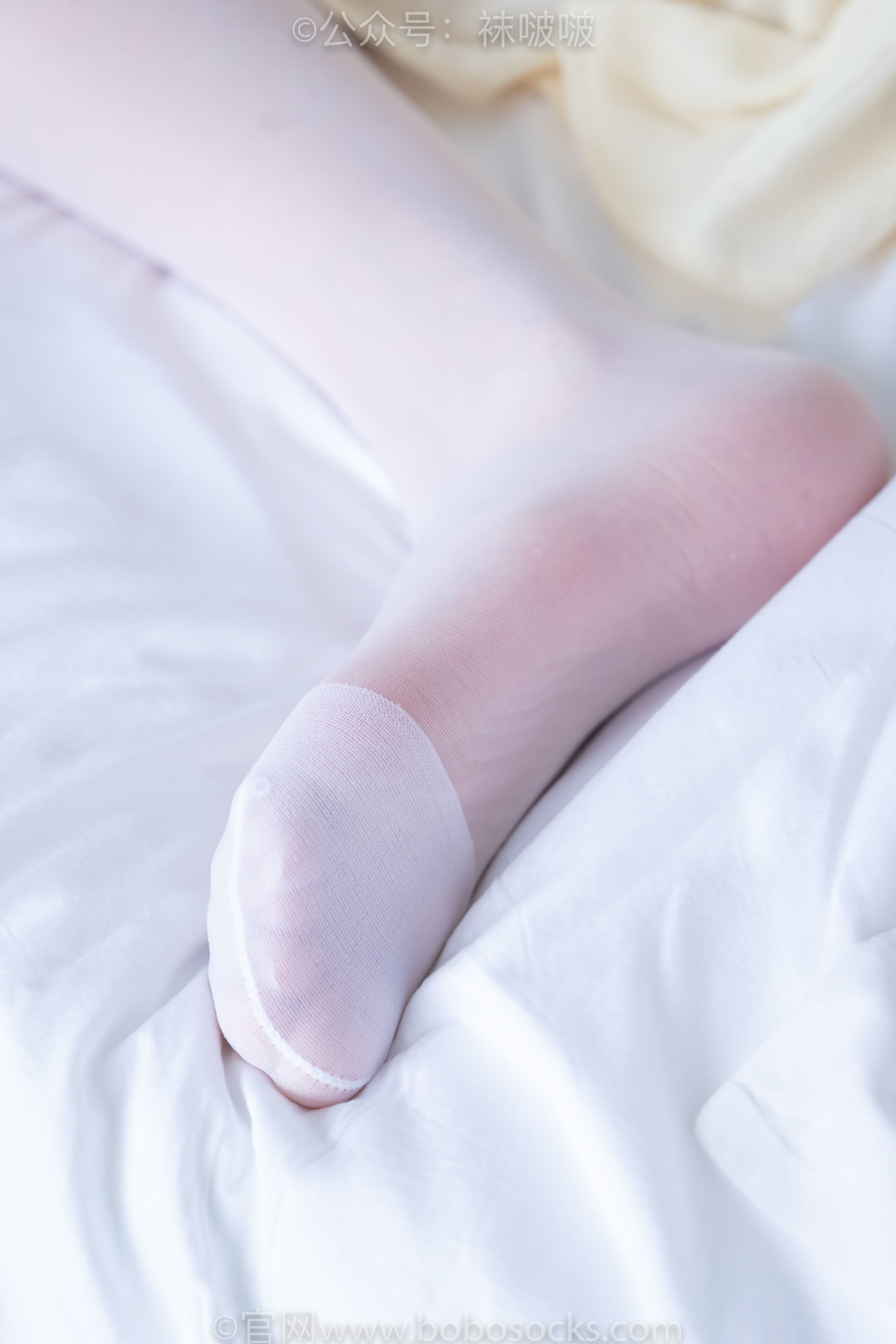 图片[86]-BoBoSocks袜啵啵 No.005 小甜豆-帆布鞋、薄白丝[133P]-六色网