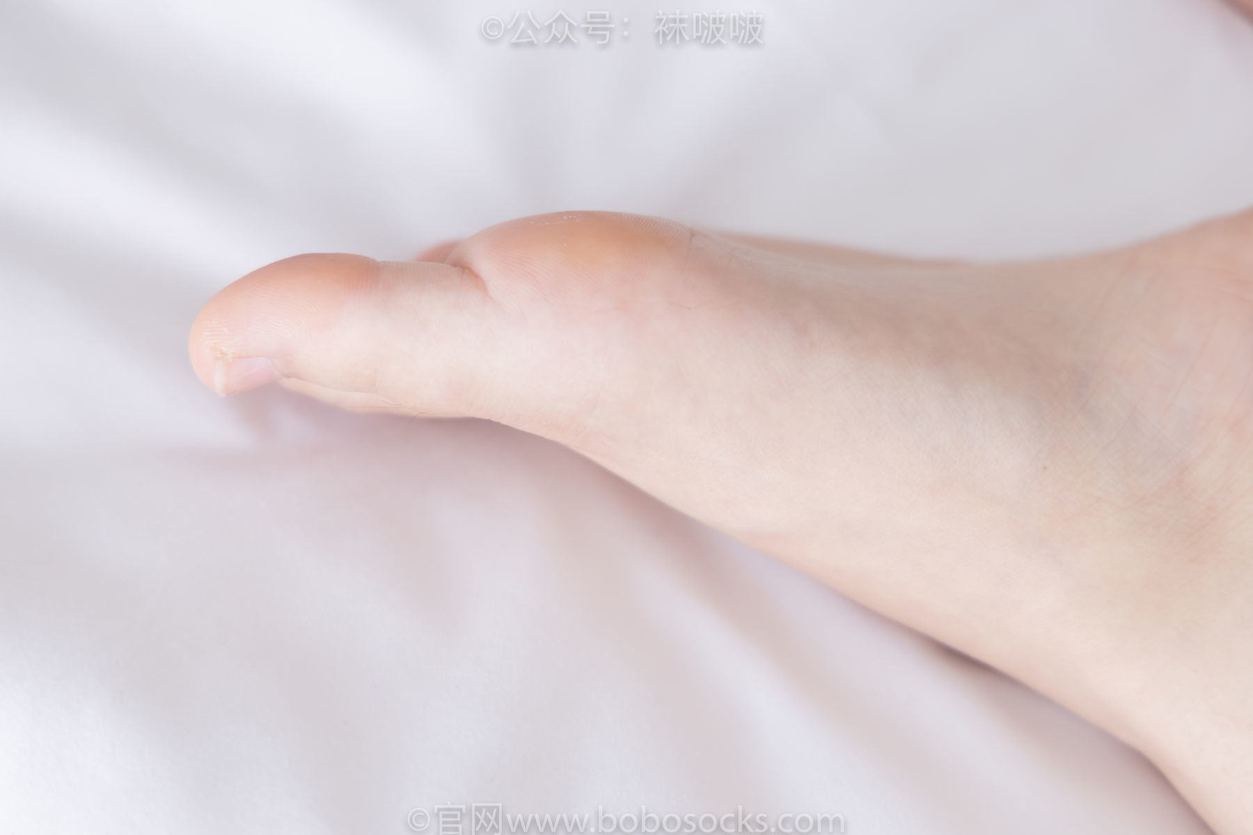 图片[122]-BoBoSocks袜啵啵 No.036 菠萝-帆布鞋、白棉袜、裸足[138P]-六色网