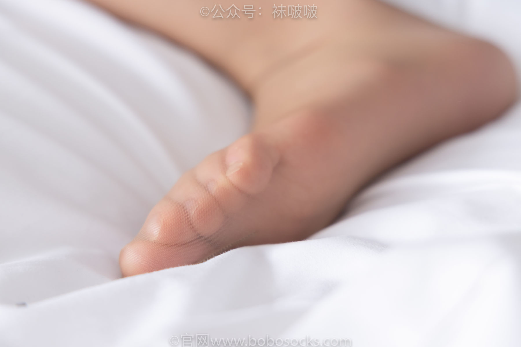 图片[84]-BoBoSocks袜啵啵 No.078 小甜豆-招行制服、平底鞋、灰丝[139P]-六色网