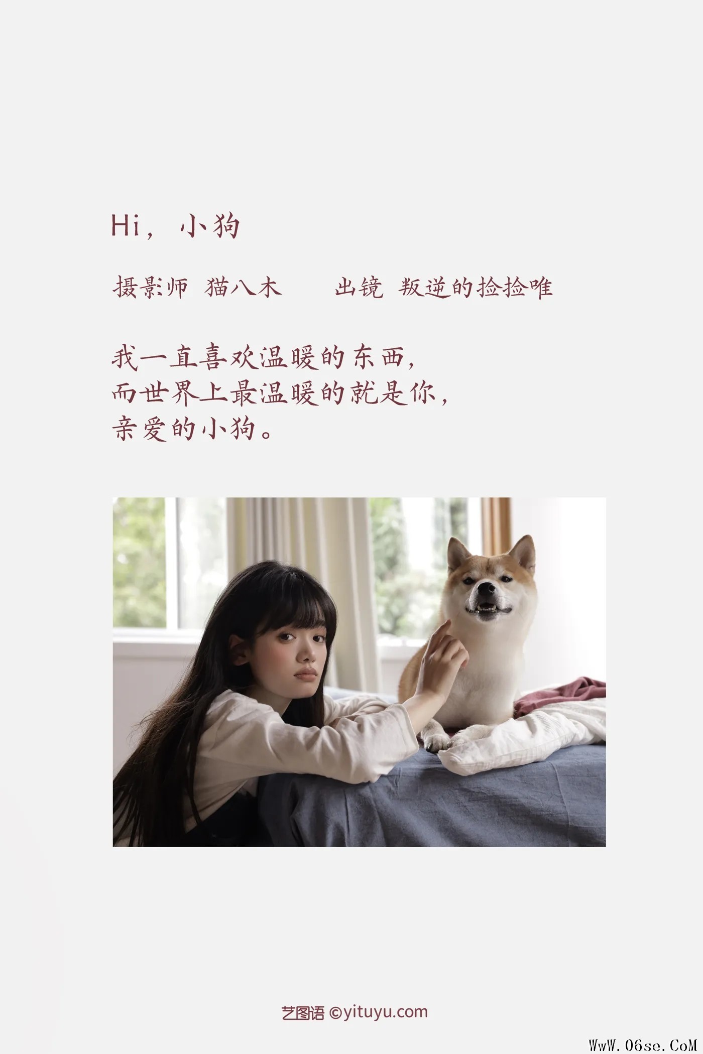 图片[2]-[艺图语]2022.11.27 Vol.2544 – Hi,小狗 [29P]-六色网