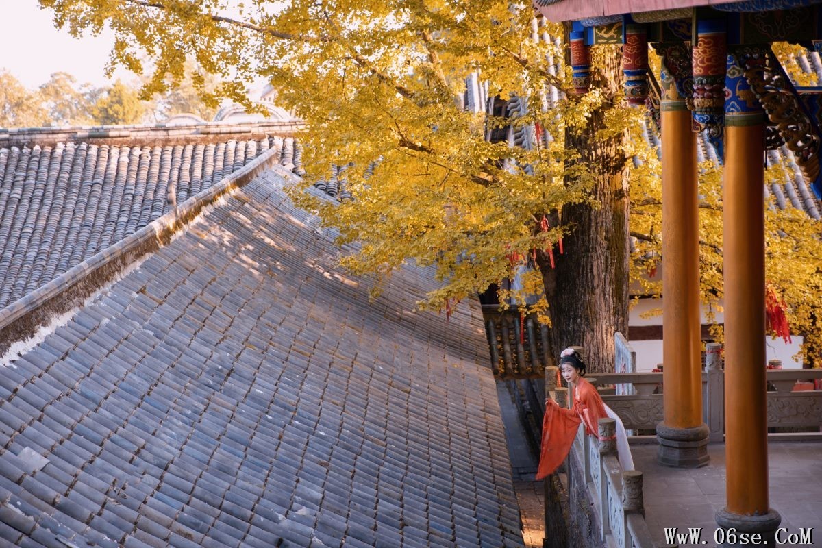 图片[11]-YiTuYu艺图语 Vol.3105 Mu Jing Shu[21P]-六色网