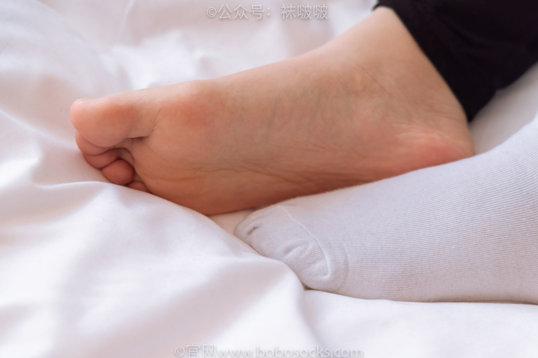 图片[88]-BoBoSocks袜啵啵 No.059 砂糖-AJ板鞋、白棉袜、裸足[142P]-六色网
