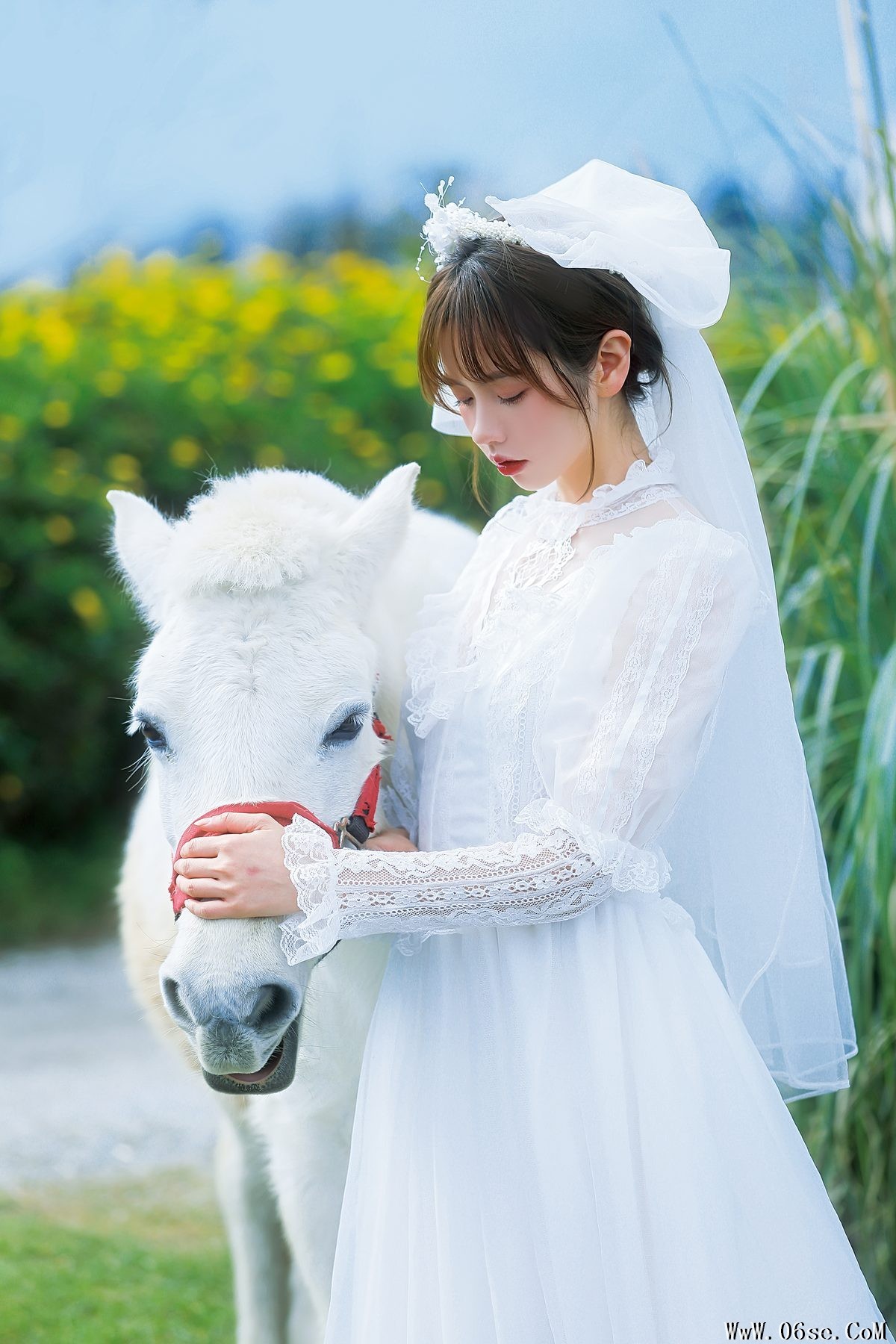 图片[6]-YiTuYu艺图语 Vol.3405 Lin Mu Ting Zi[24P]-六色网